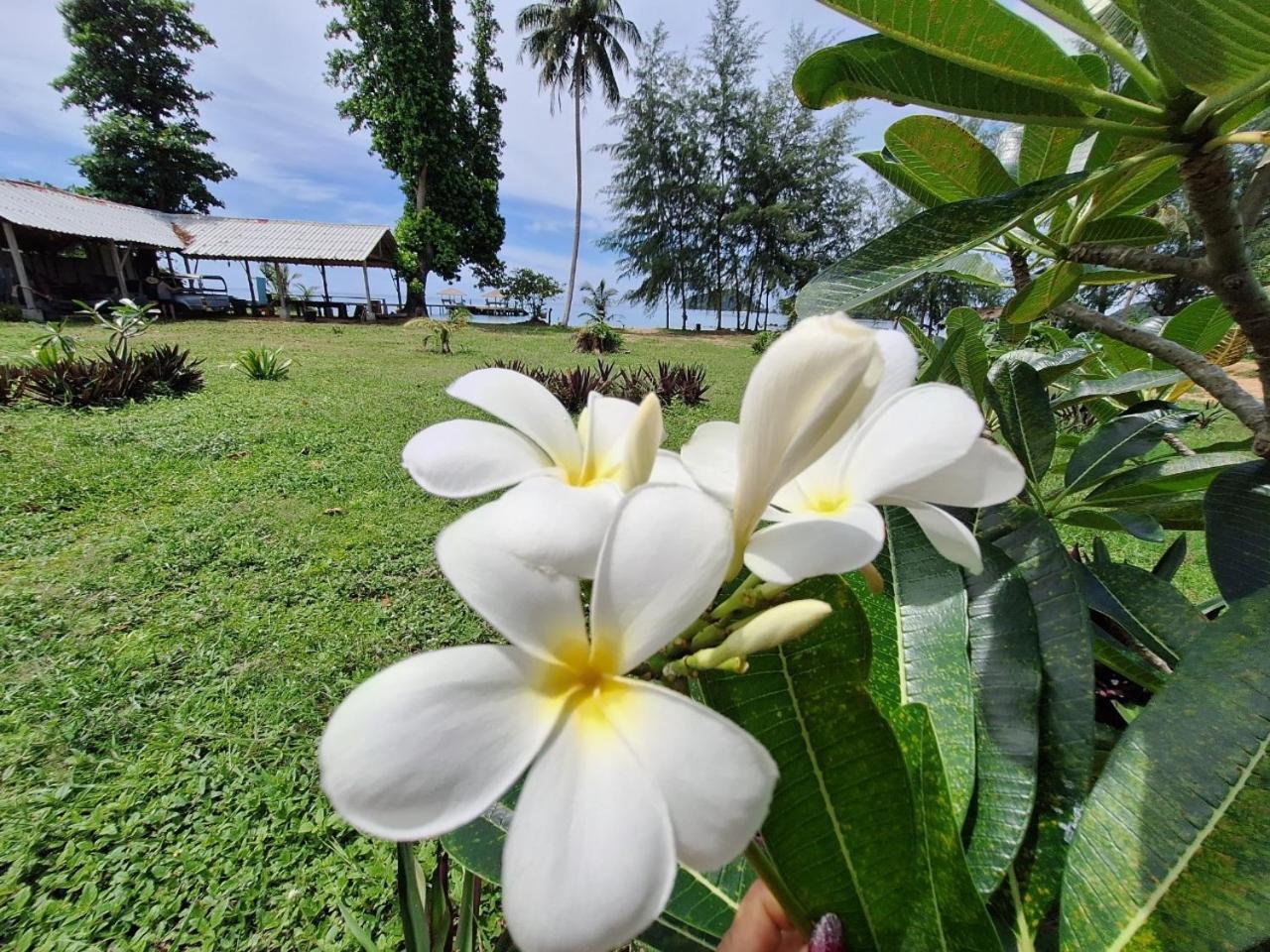 Miss You Beach Resort 麦岛 外观 照片
